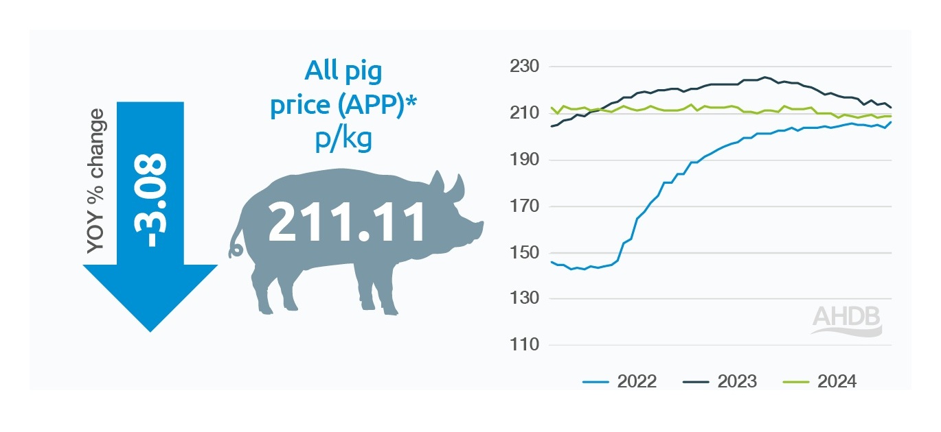 GB all pig prices 2024